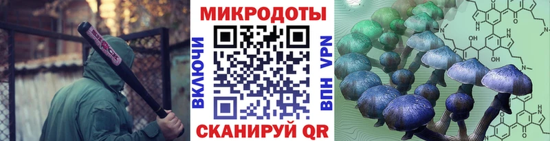 где найти наркотики  Николаевск-на-Амуре  Псилоцибиновые грибы ЛСД 
